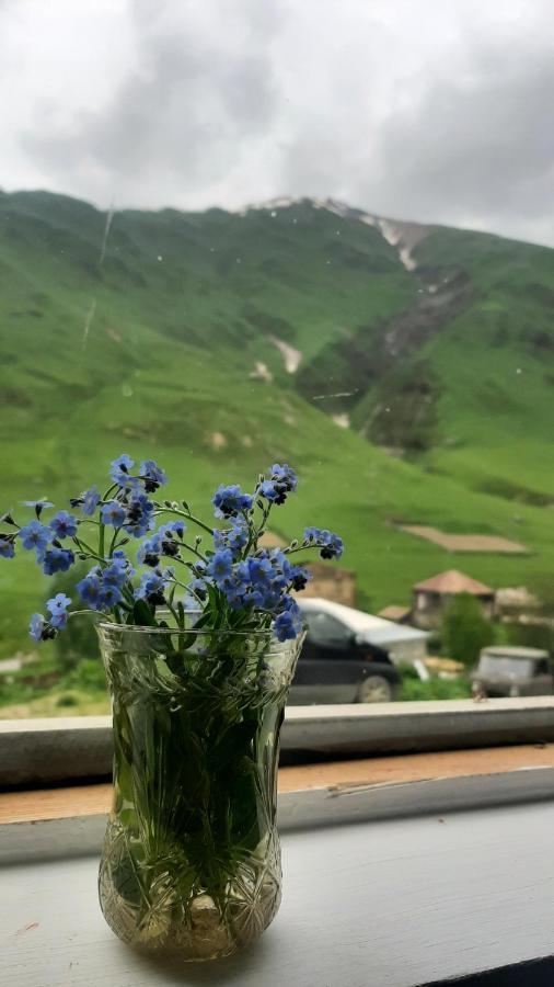 Guesthouse SVANURI SAKHLI Ushguli Eksteriør billede